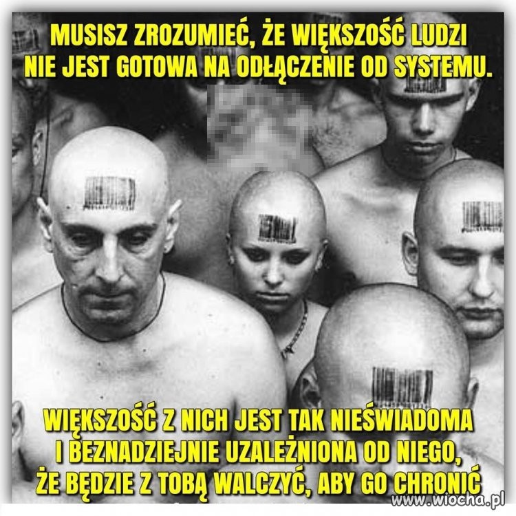 Protestujący w Massachusetts