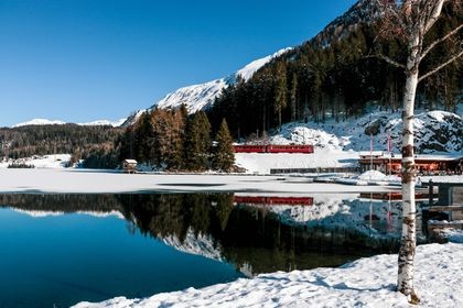 wef davos faszysci